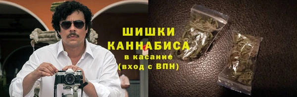 apvp Алексин