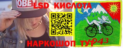 индика Пушкино