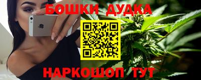 индика Пушкино