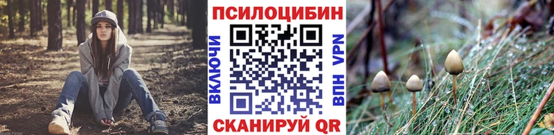 Галлюциногенные грибы MAGIC MUSHROOMS Санкт-Петербург