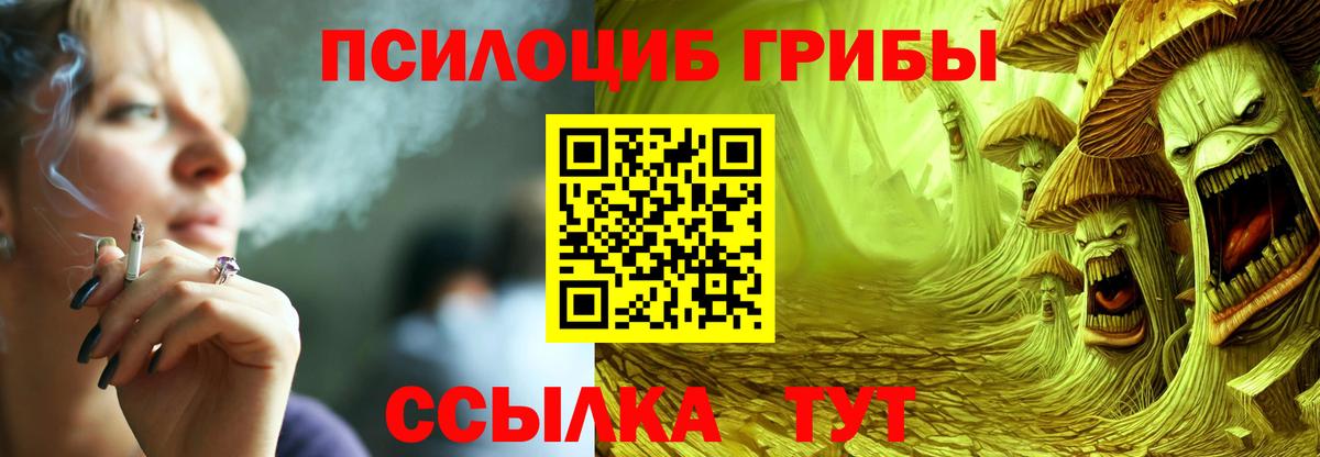 Псилоцибиновые грибы прущие грибы  Вход с VPN  Санкт-Петербург 