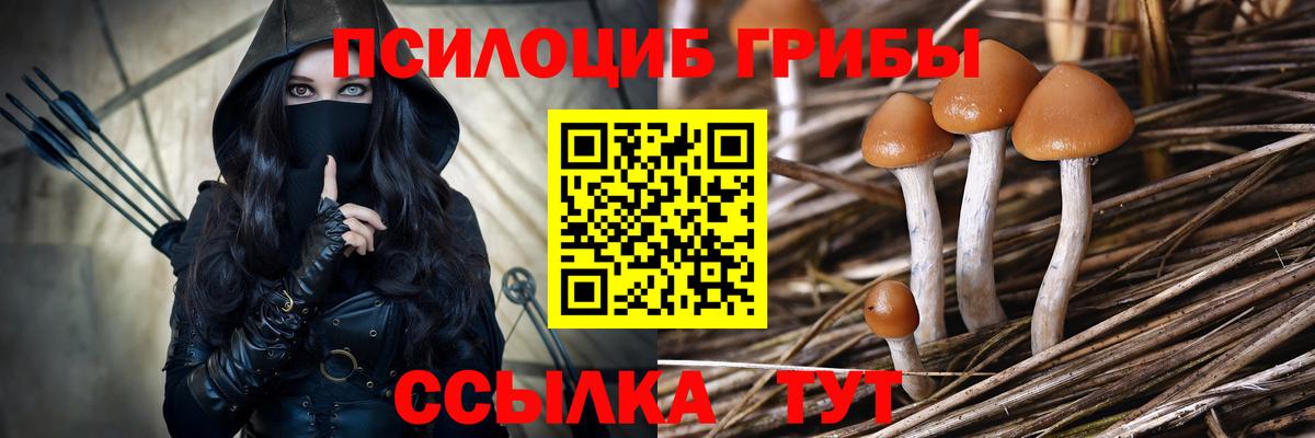 Псилоцибиновые грибы мухоморы Санкт-Петербург